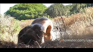 ટૂંકા પળિયાવાળું સેક્સી પિક્ચર બતાવો કોબો
